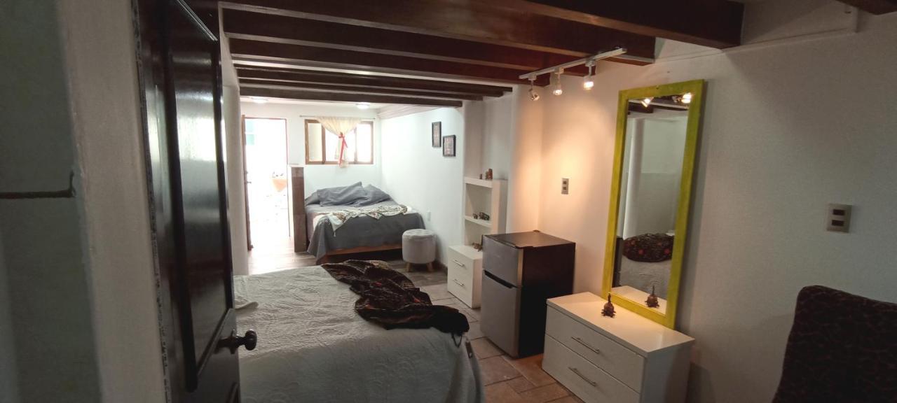 Casa Kalidy Coyoacan 墨西哥城 外观 照片