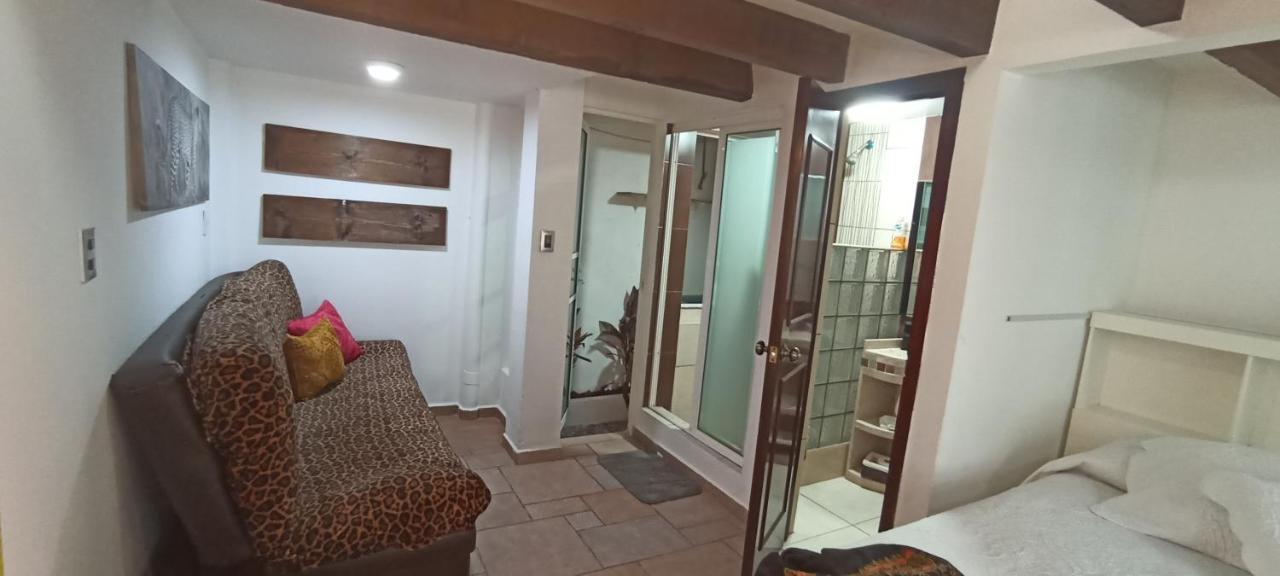 Casa Kalidy Coyoacan 墨西哥城 外观 照片