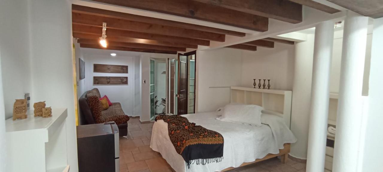 Casa Kalidy Coyoacan 墨西哥城 外观 照片