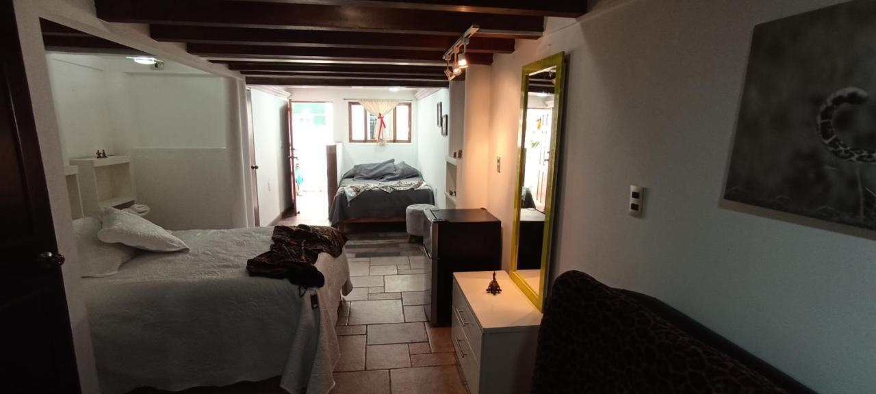 Casa Kalidy Coyoacan 墨西哥城 外观 照片