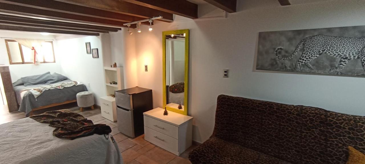 Casa Kalidy Coyoacan 墨西哥城 外观 照片