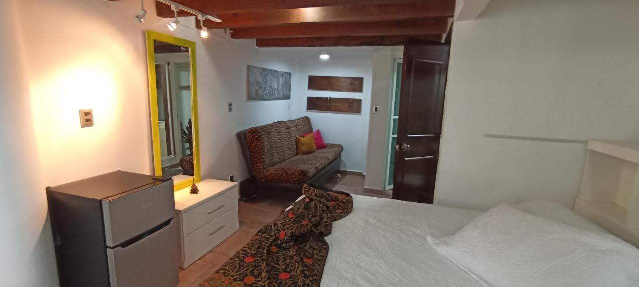 Casa Kalidy Coyoacan 墨西哥城 外观 照片