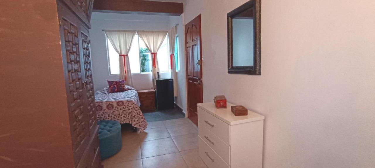 Casa Kalidy Coyoacan 墨西哥城 外观 照片
