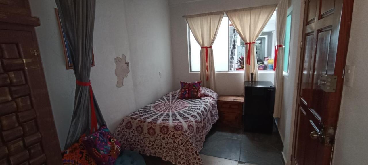 Casa Kalidy Coyoacan 墨西哥城 外观 照片